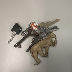 Sleutelbos, segundo informou a iLost