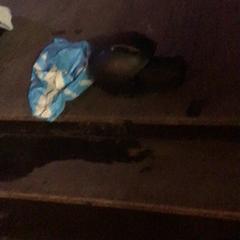 Kask Zwart, zgłoszono przez De Heeren van Aemstel przy użyciu iLost