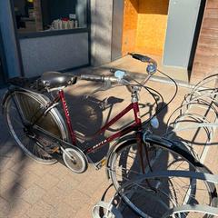 Damcykel Norta bordeaux, rapporterat av Stad Peer med iLost