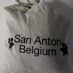 İLost kullanarak Regio Antwerpen - Brussel tarafından bildirildiği gibi Çanta