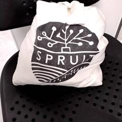 Väska, rapporterat av Arriva Infoshop Enschede med iLost