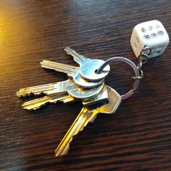 Sleutelbos, jak bylo nahlášeno na iLost