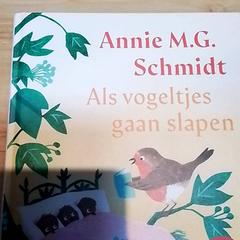 Libro, segundo informou Beekse Bergen Resorts en Hotel usando iLost