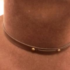 Hat Bruin, as reported by Qbuzz Fryslân using iLost