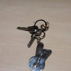 Sleutels, zoals gemeld door Arriva Oost-Brabant met iLost