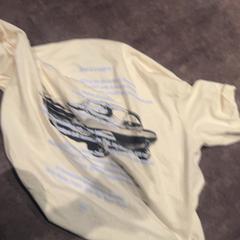 T shirt, as reported by Van der Valk Hotel Haarlem using iLost