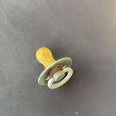 Zitze, gemeldet von Burgers' Zoo über iLost