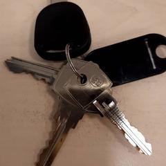Keychain met 4 sleutels, as reported by Gemeente Diepenbeek using iLost
