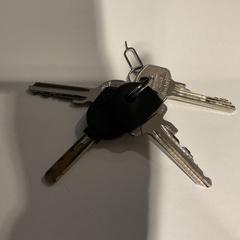 Chaves, como reportado por Gemeente Amsterdam utilizando o iLost