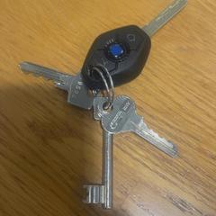 Chiavi, come riportato da Gemeente Hardenberg utilizzando iLost