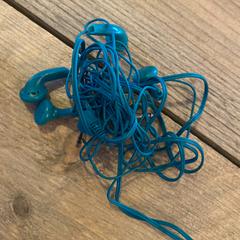 Oortjes  blauw, rapporterat av Gemeente Meierijstad med iLost