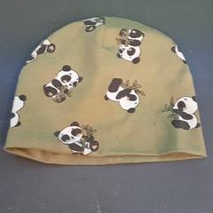 Beanie, jak nahlášeno Diergaarde Blijdorp pomocí iLost