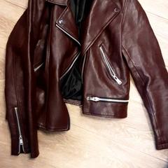 Jacka, rapporterat av Diergaarde Blijdorp med iLost