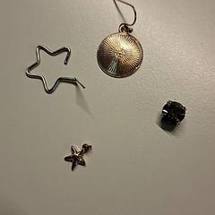 Oorbellen, zoals gemeld door Ziekenhuis Oost-Limburg met iLost