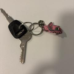 Sleutels huissleutel en fietssleutel, come riportato a iLost