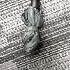 Parapluie Grijs, a été signalé par Arriva Vechtdallijnen utilisant iLost