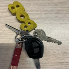 Claus, segons ha informat Gemeente Arnhem mitjançant iLost