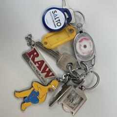 Sleutelbos, segons s'ha informat a iLost