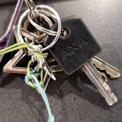 Porte-clés, a été signalé par Breng Nijmegen utilisant iLost