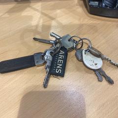 Sleutelbos, gemeldet von Gemeente Gooise Meren über iLost