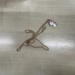 Naszyjnik Pony kettinkje, zgłoszono przez IKEA Eindhoven przy użyciu iLost