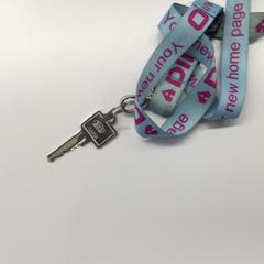 家の鍵 Blauw sleutelkoord がiLostで Gemeente Weert によって報告されました