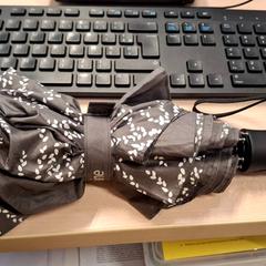 Dáždnik, ako bolo nahlásené IKEA Grenoble pomocou iLost