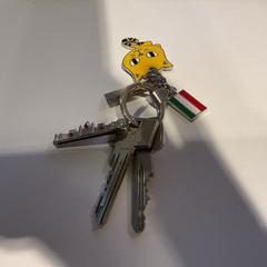 Nøkler, som rapportert av Gemeente Amsterdam ved bruk av iLost