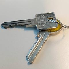 İLost kullanarak Centraal magazijn tarafından bildirildiği gibi Anahtarlar