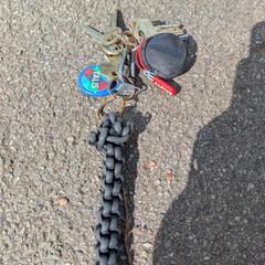 Sleutelbos, gerapporteerd met iLost