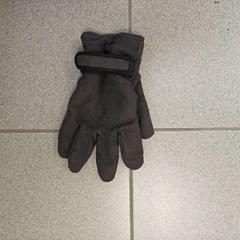 قفاز Grijs، كما تم الإبلاغ عنه بواسطة Regio Oost-Vlaanderen عبر iLost