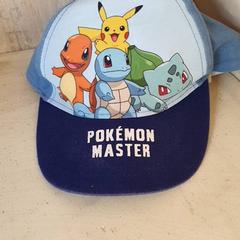 Czapka Blauw, zgłoszono przez DierenPark Amersfoort przy użyciu iLost