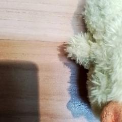 Knuffel, amint azt Beekse Bergen Resorts en Hotel az iLost segítségével jelentette.