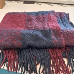 Schal, gemeldet von Arriva Limburg Zuid über iLost