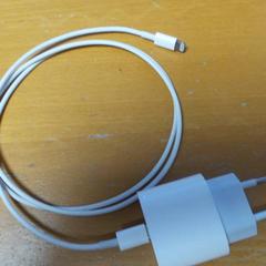 Adaptér, jak nahlášeno Carlton Beach Hotel pomocí iLost