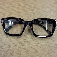 İLost kullanarak Gemeente Nijkerk tarafından bildirildiği gibi Okuma gözlükleri Bruin