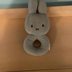 Zabawka, zgłoszono przez Familie Resort Molenwaard przy użyciu iLost