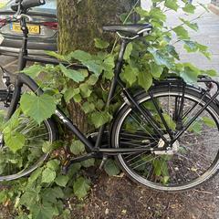 Fiets, iLost에 보고됨