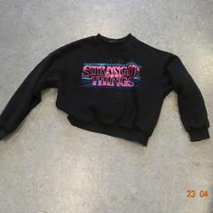 Sveter Zwart, ako bolo nahlásené Gemeente Leopoldsburg pomocou iLost