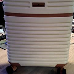 Maleta, segons ha informat EBS Tramplein mitjançant iLost