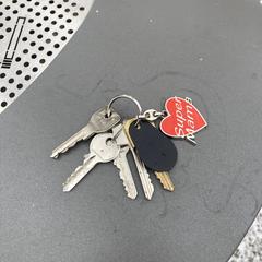 Sleutelbos, segons s'ha informat a iLost