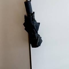 Guarda-chuva zwart, como reportado por Qbuzz GD Groningen HS utilizando o iLost