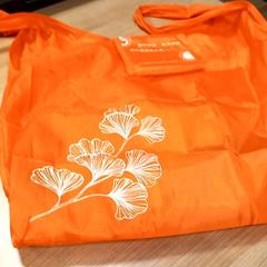 Tragetasche, gemeldet von RRReis Veluwe Zuid - Ede über iLost