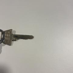 المفاتيح (متنوعة)، كما تم الإبلاغ عنه بواسطة Gemeente Veenendaal عبر iLost