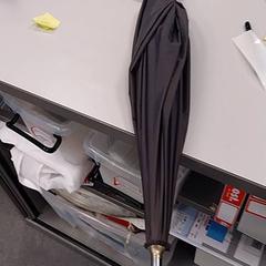 Parapluie Grijs, a été signalé par Vrije Universiteit Amsterdam utilisant iLost