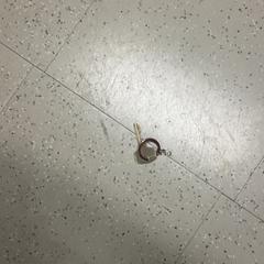 Kulcs, amint azt Pathé Utrecht Leidsche Rijn az iLost segítségével jelentette.