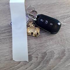 Klíče od auta, jak nahlášeno EBS Tramplein pomocí iLost