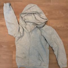 Vest, iLost를 사용하여 Diergaarde Blijdorp에 보고됨