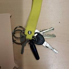 Sleutebos, as reported by RET using iLost