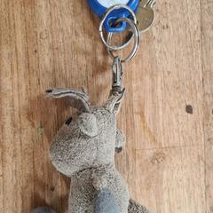 Sleutel, como reportado ao iLost